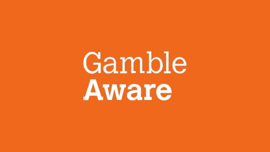 The Festival Series supports GambleAware